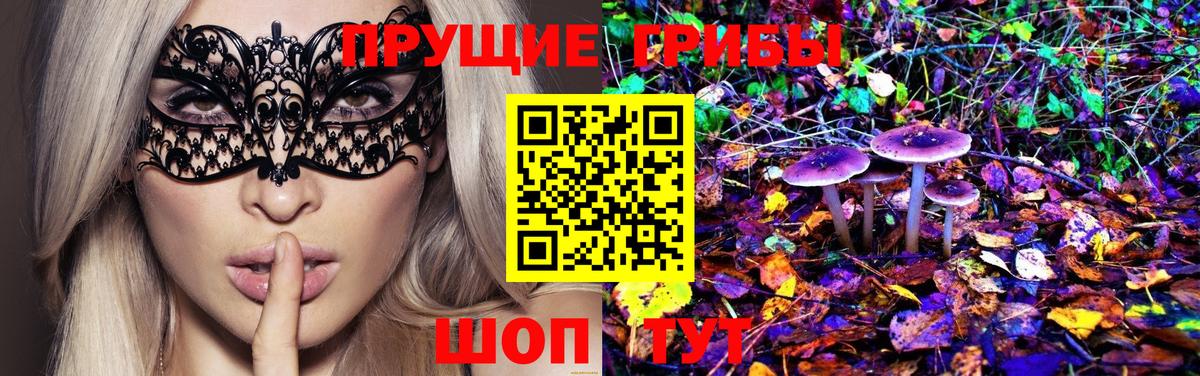 Мирный  Псилоцибиновые грибы Psilocybine cubensis  Вход с VPN 