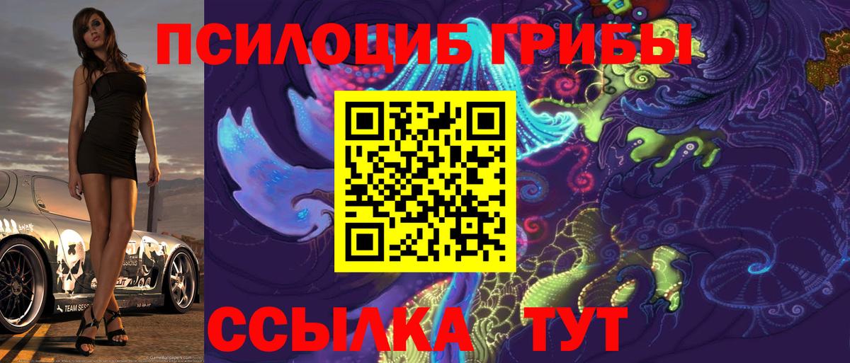 Псилоцибиновые грибы Psilocybine cubensis Мирный